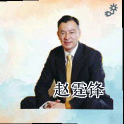 赵霆锋